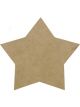 Boyle Craftwood Coaster 5 Pointed Star 11.5cm