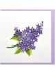 Boyle Quilled Greeting Card African Violet Flowers 15x15cm