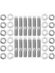 Aeroflow Titanium 6 Point Hex Header Stud Kit Fits Nissan RB20