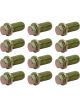 TFI Racing Extractor/Header Bolts 3/8