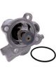 PAT Cooling System Thermostat