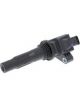 PAT Ignition Coil