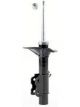 Roadsafe STR Sealed Strut
