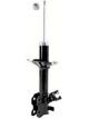 Roadsafe STR Sealed Strut