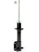 Roadsafe STR Sealed Strut