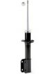 Roadsafe STR Sealed Strut