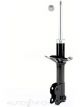Roadsafe STR Sealed Strut