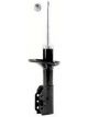Roadsafe STR Sealed Strut