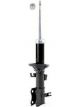 Roadsafe STR Sealed Strut