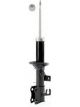 Roadsafe STR Sealed Strut