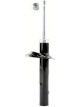 Roadsafe STR Sealed Strut