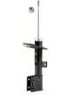 Roadsafe STR Sealed Strut
