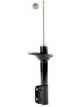 Roadsafe STR Sealed Strut