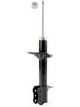 Roadsafe STR Sealed Strut