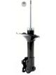 Roadsafe STR Sealed Strut