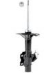 Roadsafe STR Sealed Strut