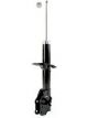 Roadsafe STR Sealed Strut