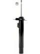 Roadsafe STR Sealed Strut