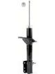 Roadsafe STR Sealed Strut