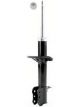 Roadsafe STR Sealed Strut