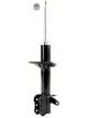 Roadsafe STR Sealed Strut
