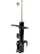 Roadsafe STR Sealed Strut