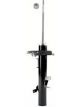 Roadsafe STR Sealed Strut