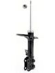 Roadsafe STR Sealed Strut