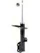 Roadsafe STR Sealed Strut