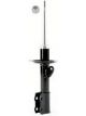 Roadsafe STR Sealed Strut