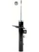 Roadsafe STR Sealed Strut