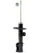 Roadsafe STR Sealed Strut