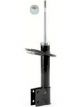 Roadsafe STR Sealed Strut