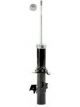 Roadsafe STR Sealed Strut