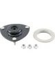 Roadsafe Strut Mount