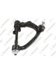Teknorot Control Arm