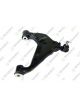 Teknorot Control Arm