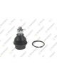 Teknorot Ball Joint