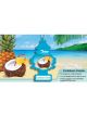 Little Trees Caribbean Colada 1 Pkt Air Freshener