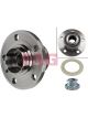 Schaeffler FAG Wheel Bearing Kit