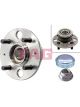 Schaeffler FAG Wheel Bearing Kit