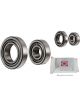 Schaeffler FAG Wheel Bearing Kit