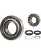 Schaeffler FAG Wheel Bearing Kit