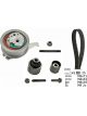Schaeffler INA Timing Belt Kit