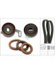 Schaeffler INA Timing Belt Kit