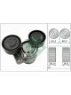 Schaeffler INA Belt Tensioner