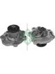 Schaeffler INA Water Pump