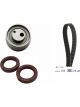 Schaeffler INA Timing Belt Kit