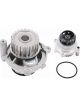 Schaeffler INA Water Pump