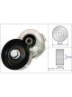 Schaeffler INA Belt Tensioner